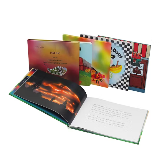 OEM Factory Customized Competitive Price Hardcover English Books Children Story Books Printing Service