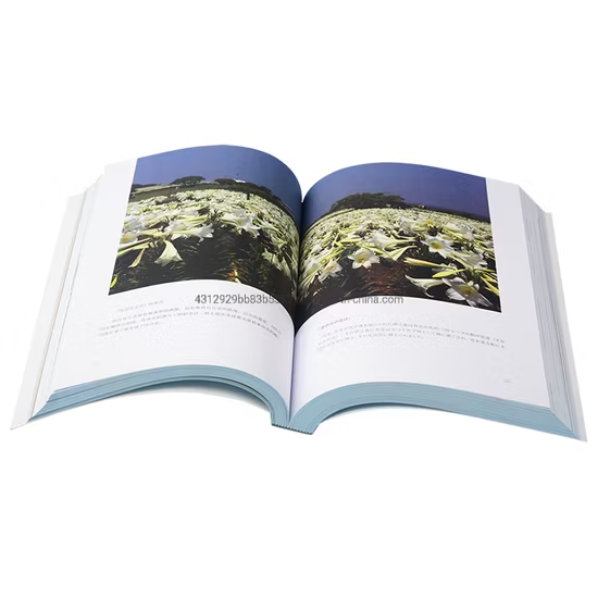 Printing Factory Soft Touch Cover Book Good Quality Matt Nature Paper Novels Book for Reading