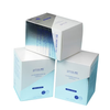 High Quality Hot Foil Logo Packaging Boxes Bright Blue Printing Color Gift Boxes Metallic Material Paper Boxes for Cosmetic