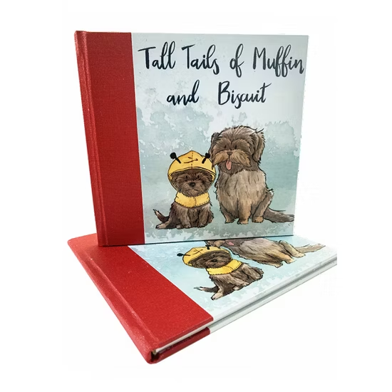Eco-Friendly Hardcover Children Story Books